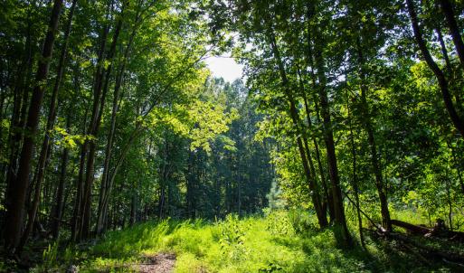 Photo #31 of Off Terrys Mountain Rd, Martinsville, VA 85.5 acres