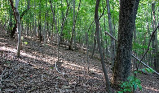 Photo #32 of Off Terrys Mountain Rd, Martinsville, VA 85.5 acres