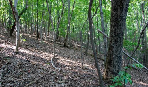 Photo #32 of SOLD property in Off Terrys Mountain Rd, Martinsville, VA 85.5 acres