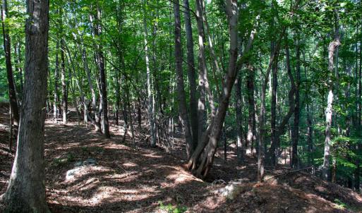 Photo #34 of Off Terrys Mountain Rd, Martinsville, VA 85.5 acres