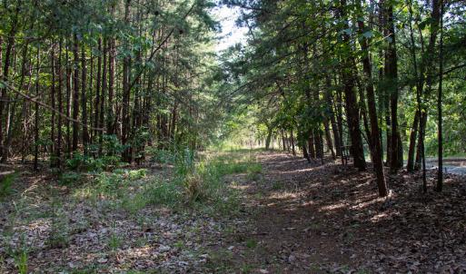 Photo #35 of Off Terrys Mountain Rd, Martinsville, VA 85.5 acres