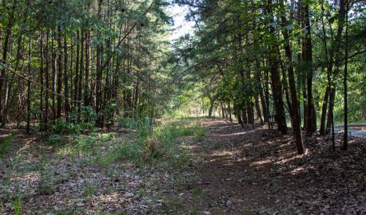 Photo #35 of SOLD property in Off Terrys Mountain Rd, Martinsville, VA 85.5 acres