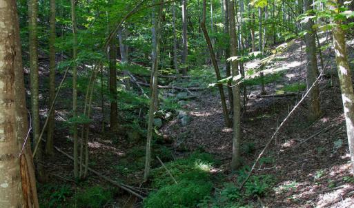 Photo #36 of SOLD property in Off Terrys Mountain Rd, Martinsville, VA 85.5 acres