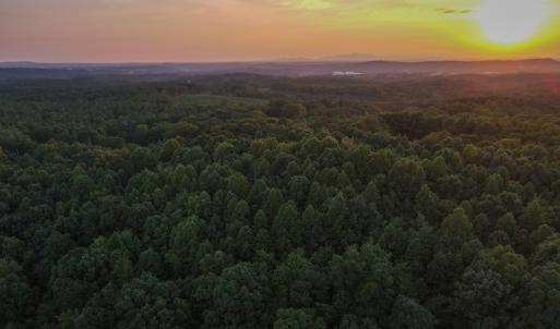 Photo #38 of Off Terrys Mountain Rd, Martinsville, VA 85.5 acres