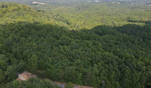 Photo #8 of SOLD property in Off Terrys Mountain Rd, Martinsville, VA 85.5 acres