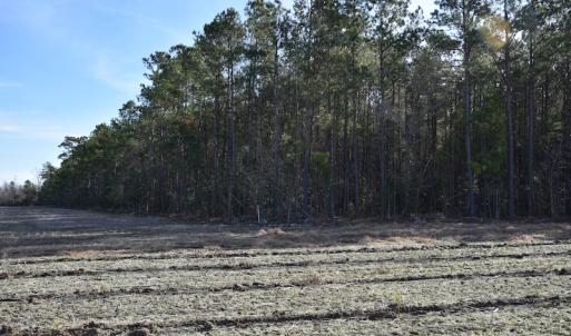 Photo #2 of SOLD property in Off Foxworth Road, Marion, SC 68.5 acres