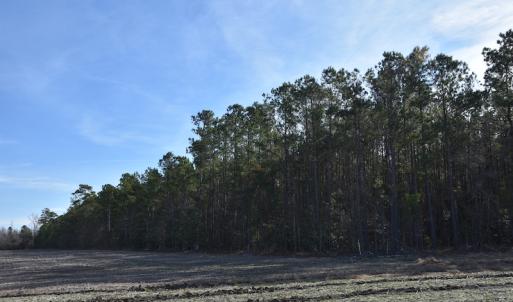 Photo #3 of SOLD property in Off Foxworth Road, Marion, SC 68.5 acres
