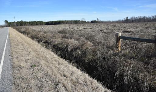 Photo #4 of SOLD property in Off Foxworth Road, Marion, SC 68.5 acres