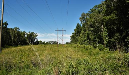 Photo #4 of SOLD property in Off Watermill Road, Mullins, SC 79.1 acres