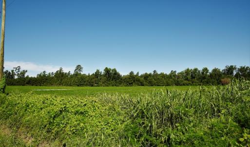 Photo #5 of SOLD property in Off Watermill Road, Mullins, SC 79.1 acres