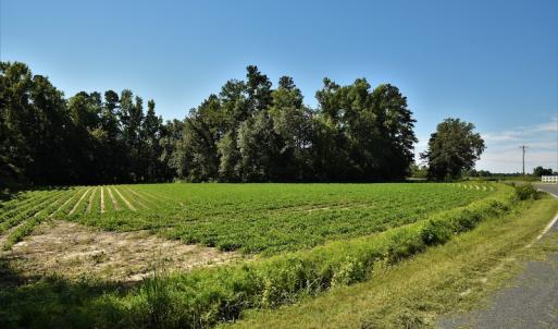 Photo #6 of SOLD property in Off Watermill Road, Mullins, SC 79.1 acres
