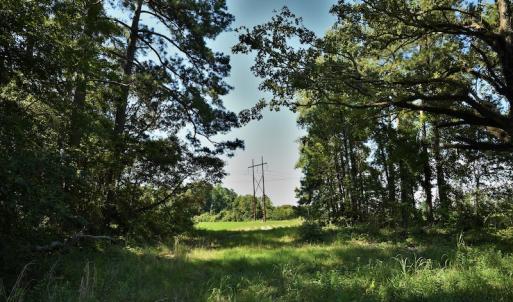Photo #10 of SOLD property in Off Watermill Road, Mullins, SC 79.1 acres