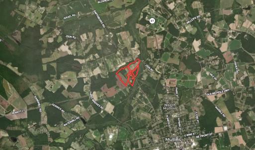 Photo #12 of SOLD property in Off Watermill Road, Mullins, SC 79.1 acres