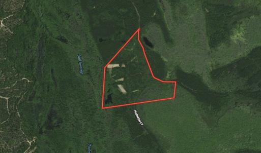 Photo #1 of SOLD property in Off Harmon Court, Gresham, SC 88.0 acres