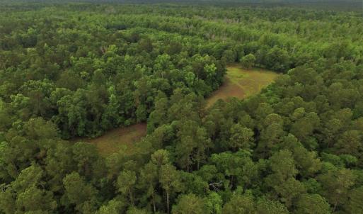 Photo #2 of SOLD property in Off Harmon Court, Gresham, SC 88.0 acres
