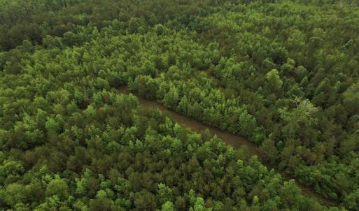 Photo #3 of SOLD property in Off Harmon Court, Gresham, SC 88.0 acres