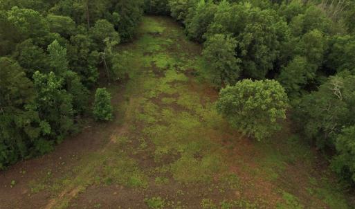 Photo #4 of SOLD property in Off Harmon Court, Gresham, SC 88.0 acres