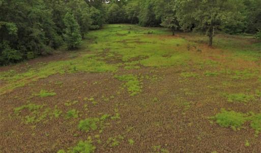 Photo #5 of SOLD property in Off Harmon Court, Gresham, SC 88.0 acres