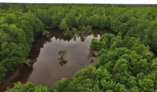 Photo #6 of SOLD property in Off Harmon Court, Gresham, SC 88.0 acres