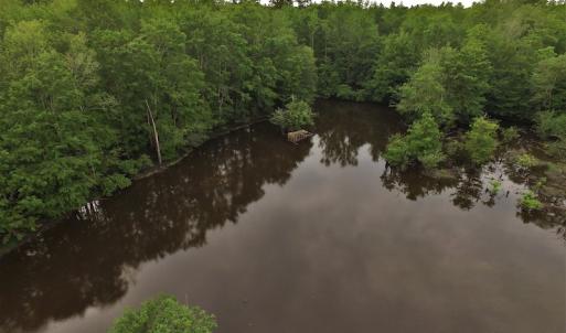 Photo #7 of SOLD property in Off Harmon Court, Gresham, SC 88.0 acres