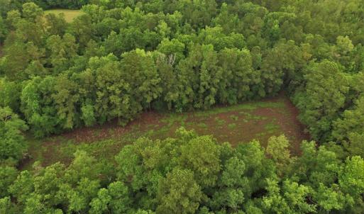 Photo #8 of SOLD property in Off Harmon Court, Gresham, SC 88.0 acres