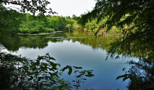 Photo #11 of SOLD property in Off Harmon Court, Gresham, SC 88.0 acres