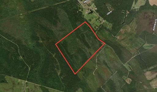 Photo #1 of SOLD property in Off Keene Road, Marion, SC 101.8 acres
