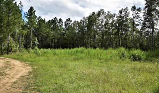 Photo #4 of SOLD property in Off Keene Road, Marion, SC 101.8 acres