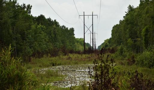 Photo #6 of SOLD property in Off Keene Road, Marion, SC 101.8 acres