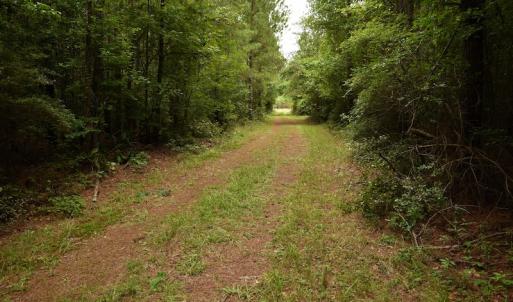 Photo #7 of SOLD property in Off Keene Road, Marion, SC 101.8 acres