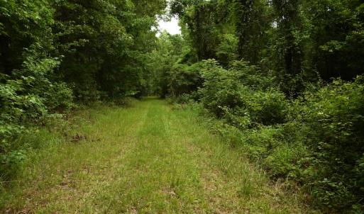 Photo #2 of SOLD property in Off Keene Road, Marion, SC 101.8 acres
