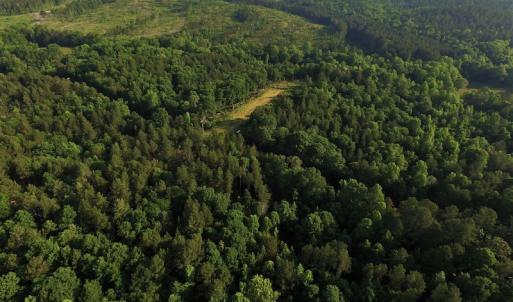Photo #3 of SOLD property in 849 Strother Road, Union, SC 201.0 acres