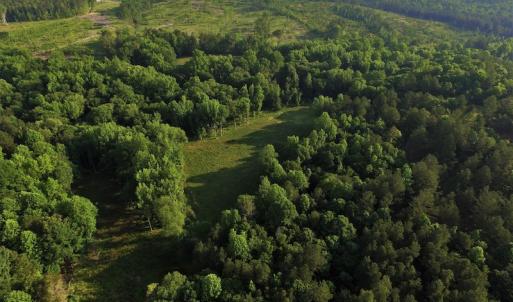 Photo #4 of SOLD property in 849 Strother Road, Union, SC 201.0 acres