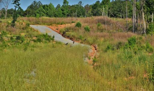 Photo #6 of SOLD property in 849 Strother Road, Union, SC 201.0 acres