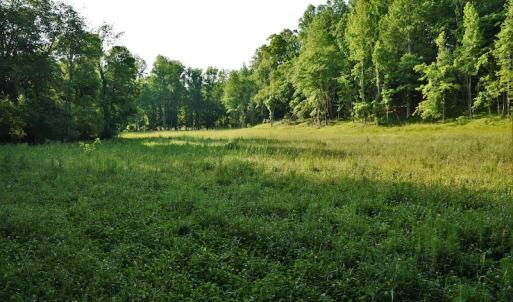 Photo #8 of SOLD property in 849 Strother Road, Union, SC 201.0 acres