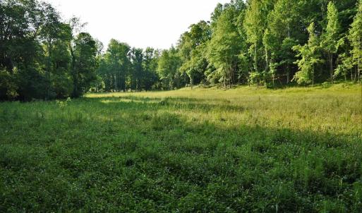 Photo #8 of SOLD property in 849 Strother Road, Union, SC 201.0 acres