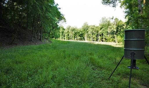 Photo #9 of SOLD property in 849 Strother Road, Union, SC 201.0 acres