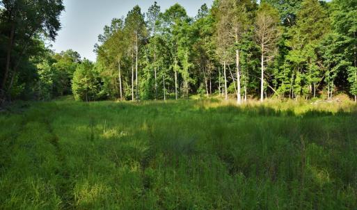 Photo #10 of SOLD property in 849 Strother Road, Union, SC 201.0 acres