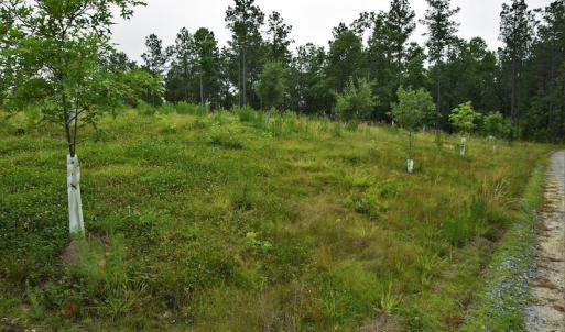 Photo #11 of SOLD property in 849 Strother Road, Union, SC 201.0 acres