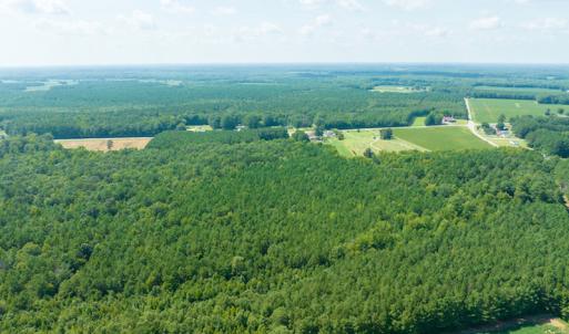 Photo #9 of Off Highway 258,  Rich Square , NC 27.8 acres