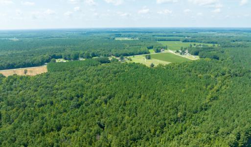 Photo #10 of Off Highway 258,  Rich Square , NC 27.8 acres