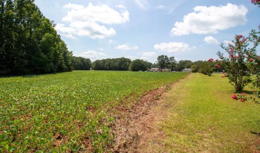 Photo #11 of Off Highway 258,  Rich Square , NC 27.8 acres