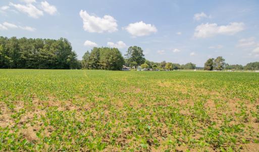 Photo #12 of Off Highway 258,  Rich Square , NC 27.8 acres