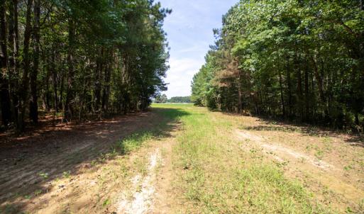 Photo #16 of Off Highway 258,  Rich Square , NC 27.8 acres