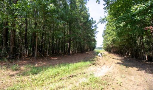 Photo #17 of Off Highway 258,  Rich Square , NC 27.8 acres