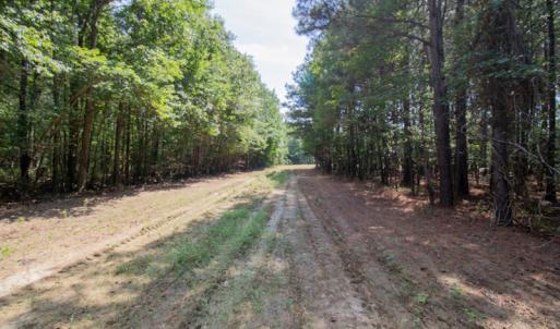 Photo #19 of Off Highway 258,  Rich Square , NC 27.8 acres