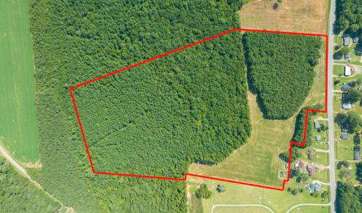 Photo #3 of Off Highway 258,  Rich Square , NC 27.8 acres