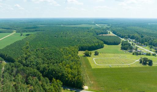 Photo #5 of Off Highway 258,  Rich Square , NC 27.8 acres