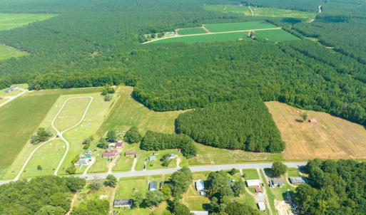 Photo #7 of Off Highway 258,  Rich Square , NC 27.8 acres