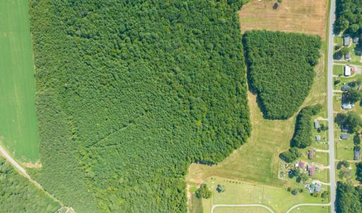 Photo #8 of Off Highway 258,  Rich Square , NC 27.8 acres